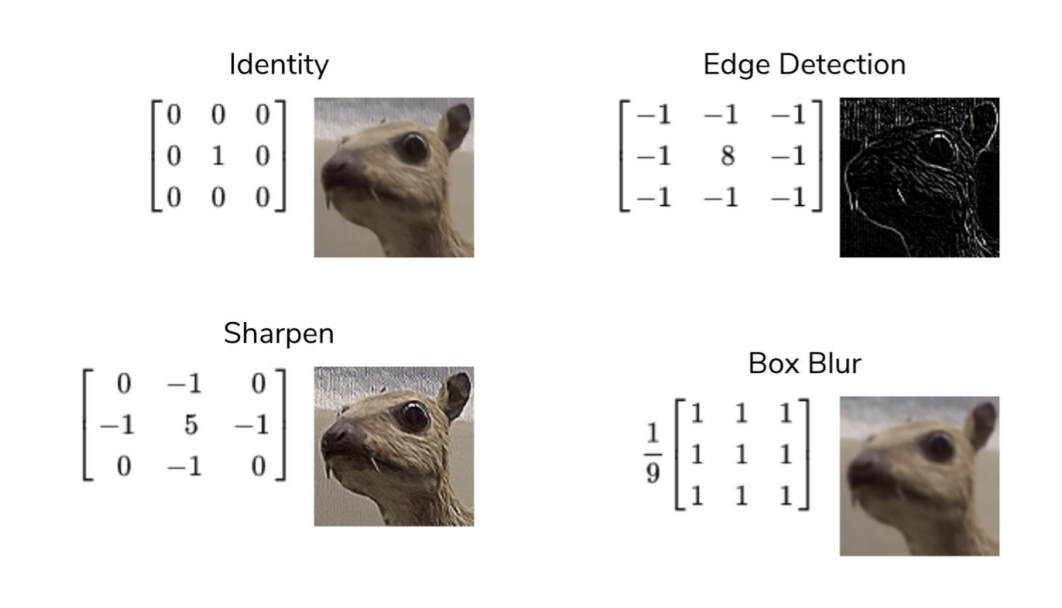 Identity, edge detection, sharpen, and box blur kernels